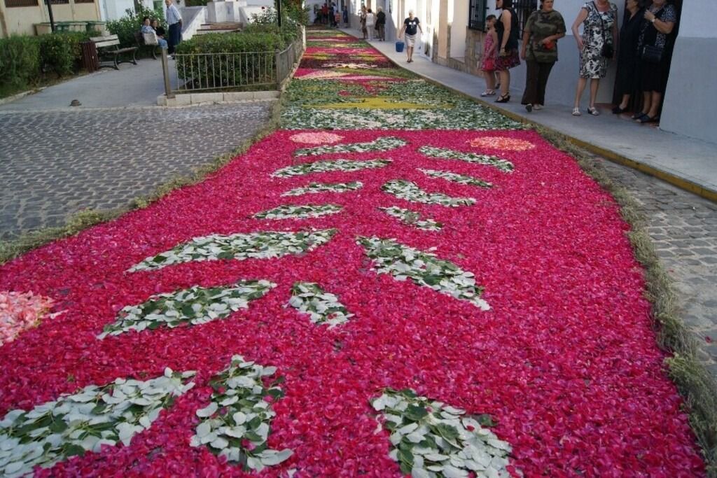 Alfombra Plaza