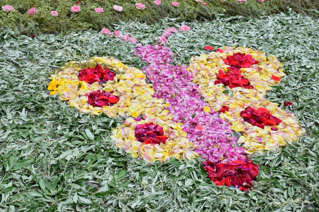 detalle alfombra