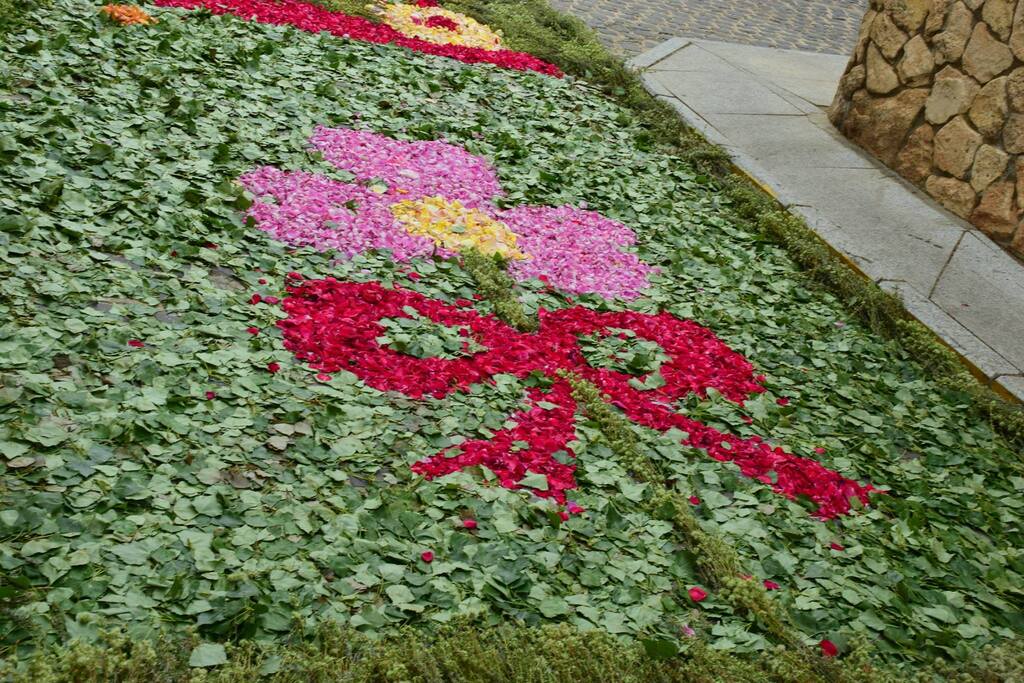 detalle plaza