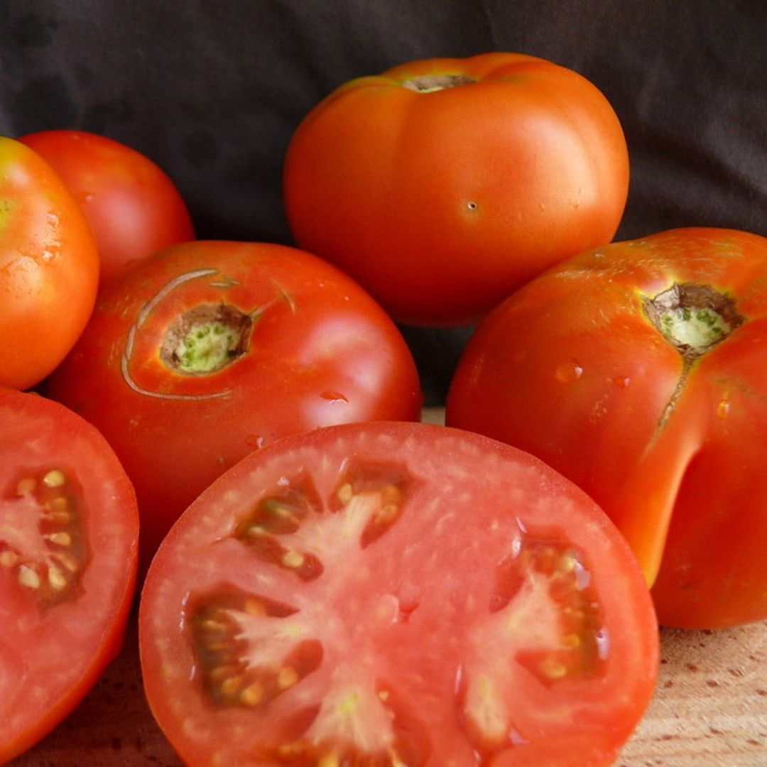 tomates